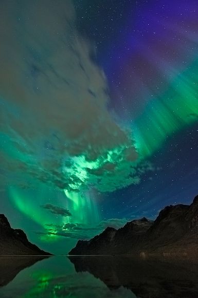 Northern Lights - Travis Caulfield